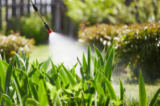24/7 Emergency Wasp Removal experts in Sturgeon, MO